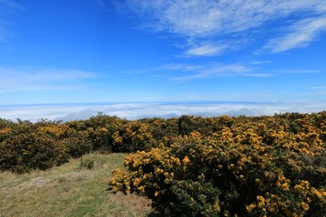 VIEW SINCE THE PITON MAIDO , MAFATE CIRCUS , IN REUNION ISLAND , FRANCE , OCTOBER 2016
