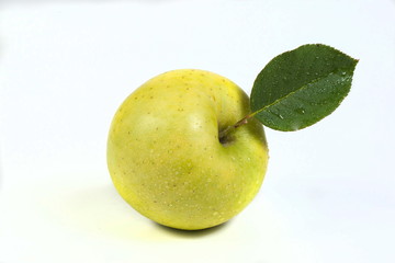 apple on white