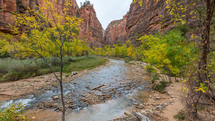 Cascades along the Virgin River on the Riverside Walk trail. Zion National Park, Utah, USA