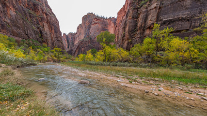Riverside walk, beautiful hike along the Virgin River. Zion National Park, Utah, USA