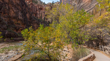 Beautiful paved hike along the Virgin River. Zion National Park, Utah, USA