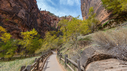 Beautiful paved hike along the Virgin River. Zion National Park, Utah, USA