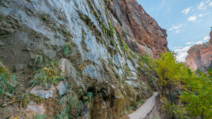 Beautiful paved hike along the Virgin River. Zion National Park, Utah, USA