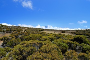 Piton de la Fournaise volcano, Reunion island, indian ocean, France, october 2016
