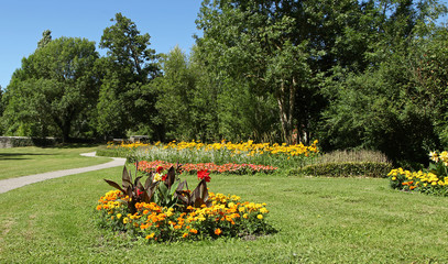 Massif de cannas 