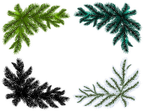 Set. Blue, black, white and green Christmas tree branches on an isolated  background. illustration