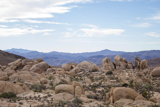 Rocky Desert Landscape