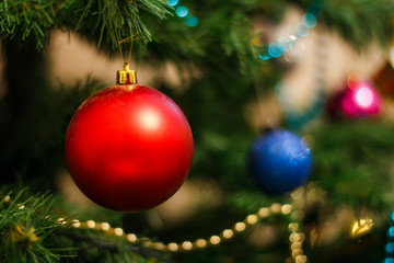 The red ball on the Christmas tree