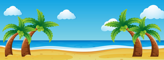 Fototapeta na wymiar Scene with coconut trees on the beach