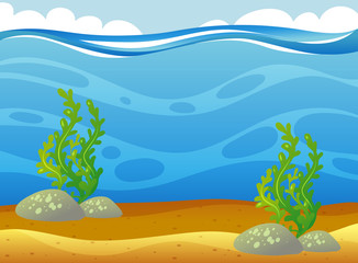 Fototapeta na wymiar Underwater scene with seaweeds