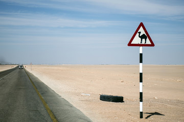 Camel warning sign desert highway in dhofar salalah Oman Middle East 4