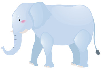 Cute elephant on white background