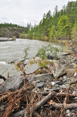 Flooding on a mountain river in Yakutia.