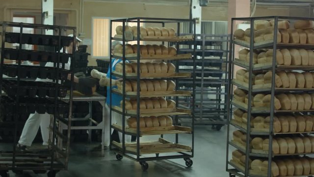 manufacture of bread products in the shop