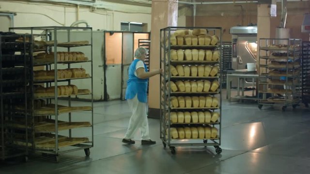 manufacture of bread products, the employee pushes a rack with a fresh ready to sell bread