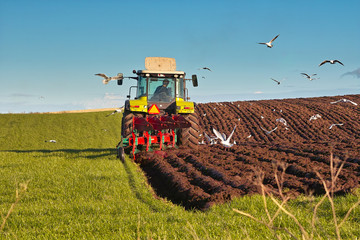 Landwirtschaftliche Bodenbearbeitung mit dem Pflug © RuZi