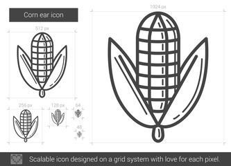 Corn ear line icon.