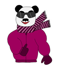 Colorful panda is sun glasses in a winter jacket and scarf