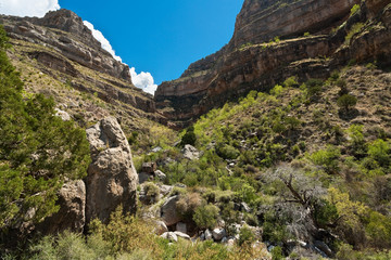 Dog Canyon at Oliver Lee Memorial State Park, New Mexico