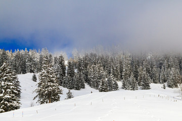 Winterlandschaft in der Schweiz, Villars-sur-ollon.
