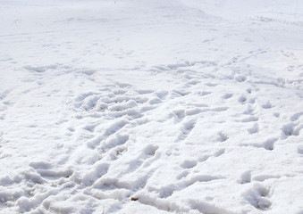 Human footprints in the snow background