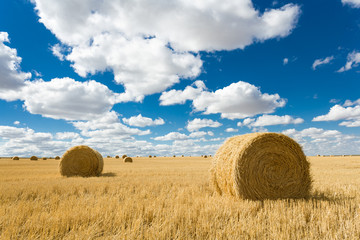 Big Sky, Valley near Glasgow, Montana, USA © Laurens