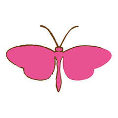 pink butterfly icon over white background. vector illustration