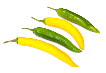 Colorful chili peppers on a white background