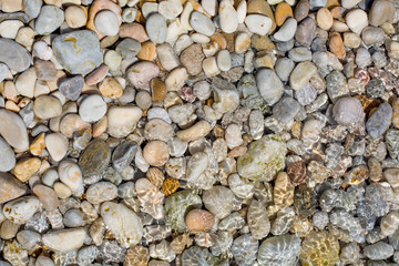 Pebble background pattern from Greece