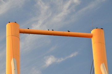 Ptaki siedzące na konstrukcji kładki/Birds sitting on a construction of footbridge, Giżycko, Masuria, Poland