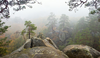 cedar cliff fog