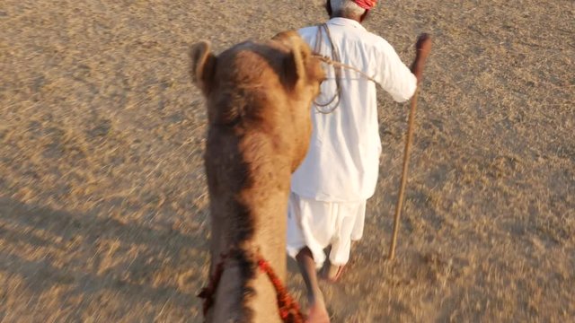 Point of View of a ride of camel in sand dunes in the desert