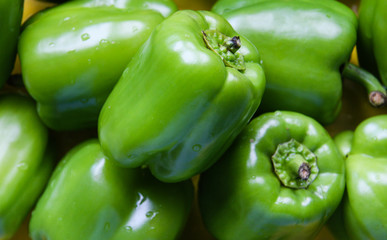 Obraz na płótnie Canvas A heap of green peppers 5