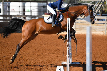 Rider on horse jumping over a hurdle during the equestrian event