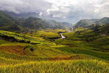 Obraz premium Valley with rive paddy fields