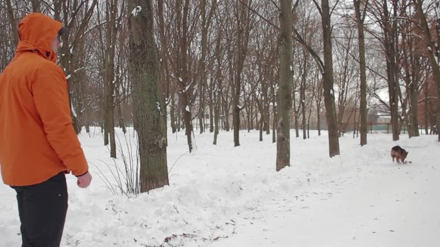 Man training shepherd dog in winter city park aport 
