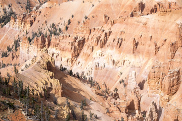 Fototapeta na wymiar Rock Formations at Cedar Breaks Utah