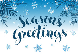 Happy holidays postcard template. Modern New Year lettering with snowflakes and branches on blue background. Christmas card concept. 