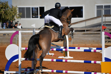 Rider on horse jumping over a hurdle during the equestrian event