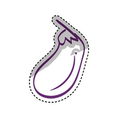 Fresh eggplant vegetable Design Vector illustration, white background