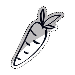 Fresh carrot vegetable Design Vector illustration, white background