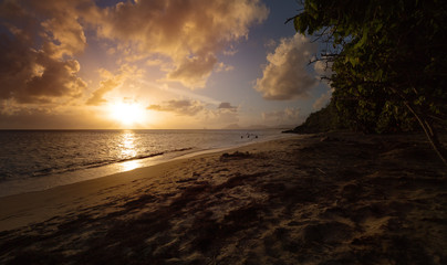Just before the Sundown on an Exotic Beach in the Pointe Borgnese Natural Site, near Marin, Martinique, Caribbean
