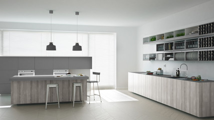 Scandinavian white kitchen with wooden and gray details, minimal