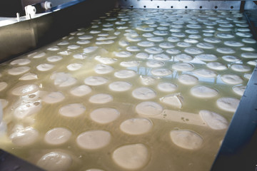 basin full of mozzarella cheese