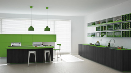 Scandinavian white kitchen with wooden and green details, minima