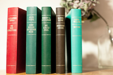 Collection of world class literature books in vintage design