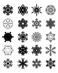 Set of different black snowflakes on a white background