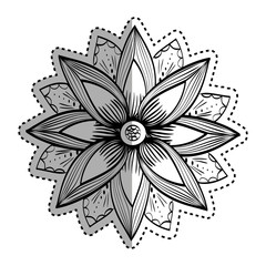 Beautiful flower in black and white icon vector illustration graphic design