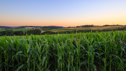 Rural landscape at sunset in the Czech countryside.