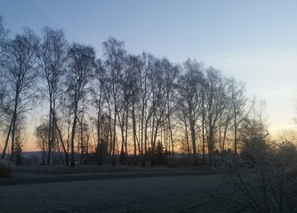 Fototapeta premium Frostiger Wintermorgen vor Sonnenaufgang
